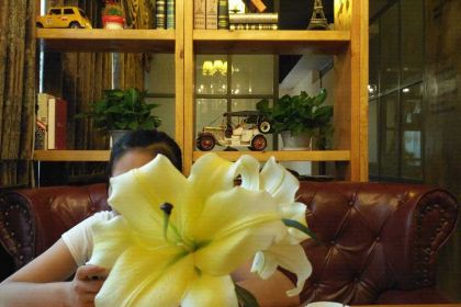 岸香咖啡(當塗二店)