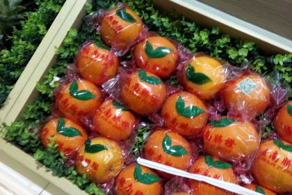 VQ鮮榨果汁(濱湖萬達店)