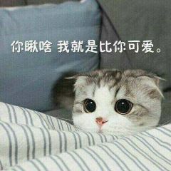 必胜客(合肥怀宁路店) User Photo