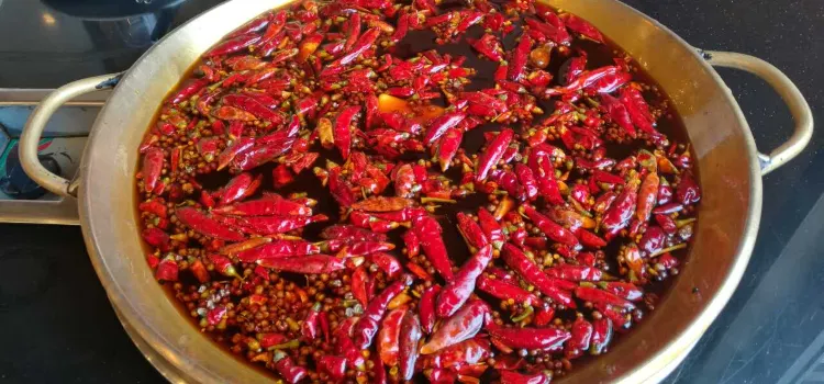 Chongqingyishengyuan Hot Pot (andingmen)