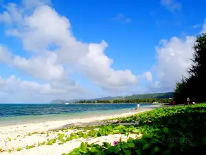 Micro Beach