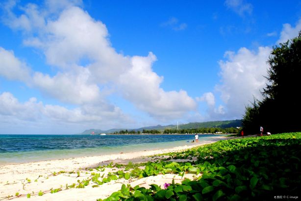 Micro Beach