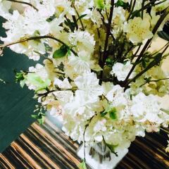 UNDER THE MOON CUISINE User Photo