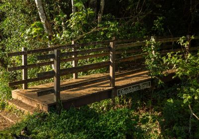 Moalepe Trail