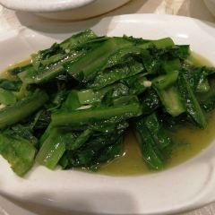 季季红 User Photo