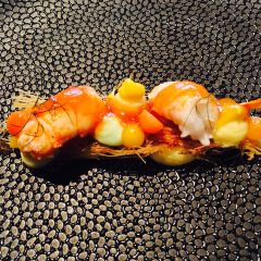 MOS Amsterdam User Photo