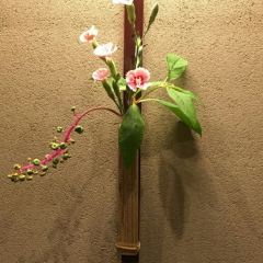 Sushi Tanabe User Photo