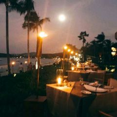 Dr Frogs Bar & Grill 여행 사진