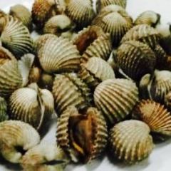 Sarang Kepiting User Photo
