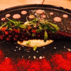 Kuoco 360 Food User Photo