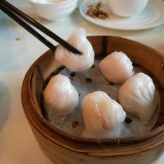 TaoRanXuan User Photo
