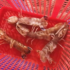 Quan OC Dong Xuan User Photo