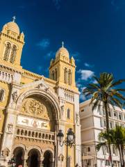 Catedral de San Vicente de Paúl