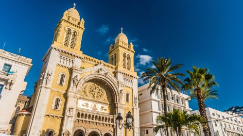 Cathedral of St Vincent de Paul and St Olivia of Palermo