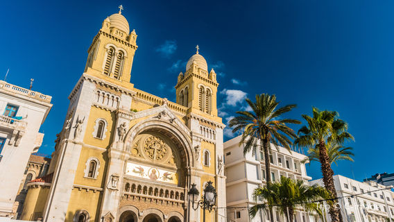 Католический собор святого Викентия де Поля