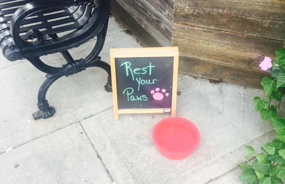 American Beauty Bistro