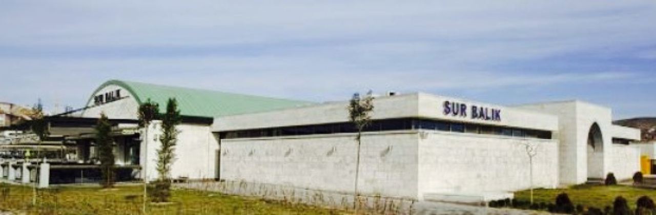 Sur Balik Avanos