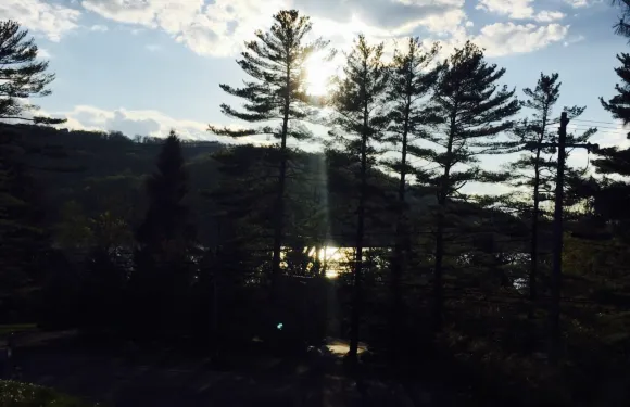 The Black Bear Tavern and Restaurant