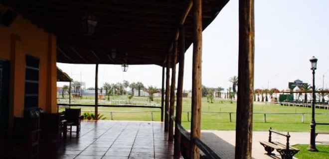 Palo Marino restaurant
