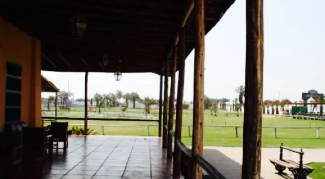 Palo Marino restaurant