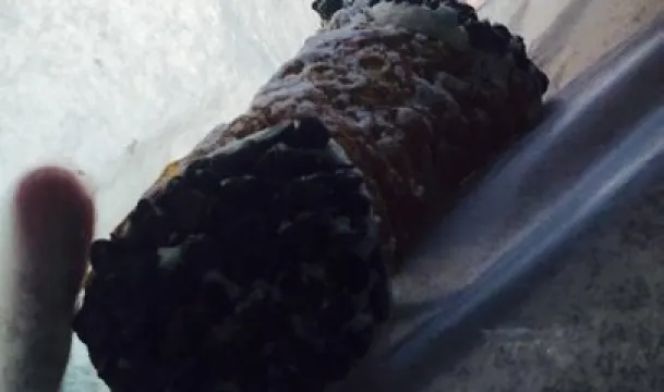 Tripoli Pizza Bakery