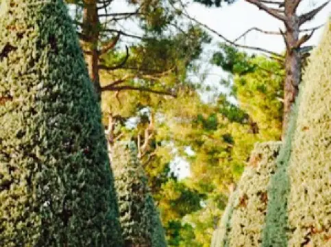 Agriturismo Al Colle