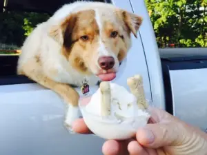 Down River Ice Cream