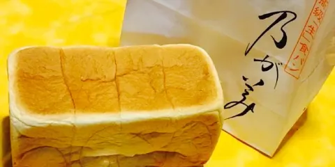 Nogami Hanare Soka