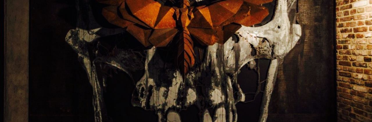 Ćma by Mateusz Gessler