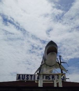 Austin Fish Company