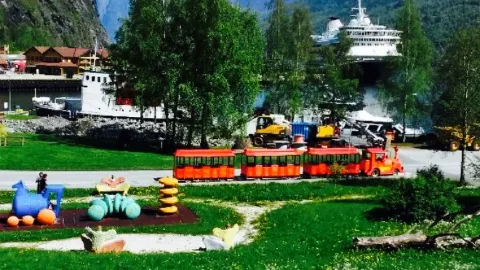 Bakkastova in Flam