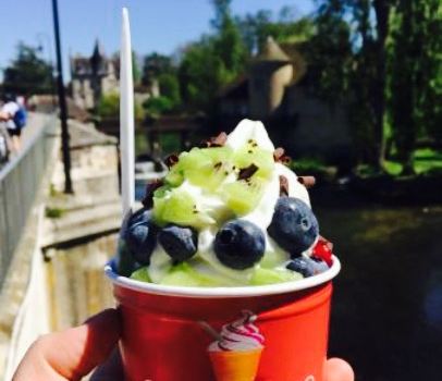 Frozzy Yog