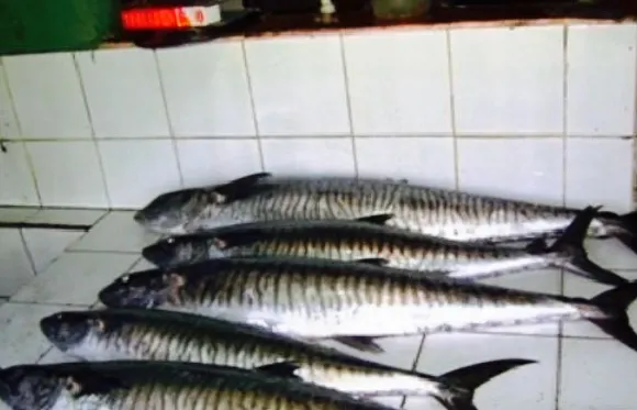 Rosita's Native Restaurant bythebay