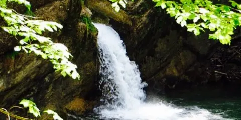 Berggasthof Pension Buhl´s Alpe