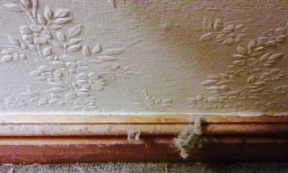 The Original Farmers Arms