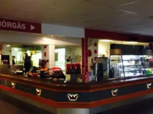 Rasta Hallandsasen
