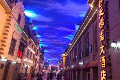 McDonald's (liqunzhengyanglu DT )