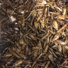 几里四·农村土菜馆(兴州路店) User Photo
