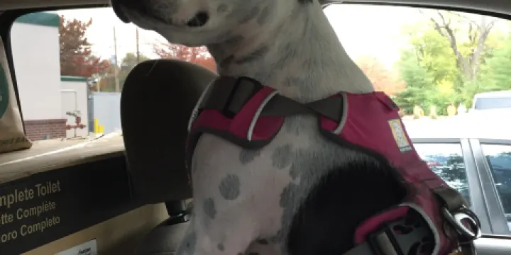 Krispy Kreme Doughnuts