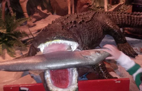 Pickle Bill's Lobster House