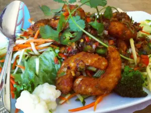 Veggie Today