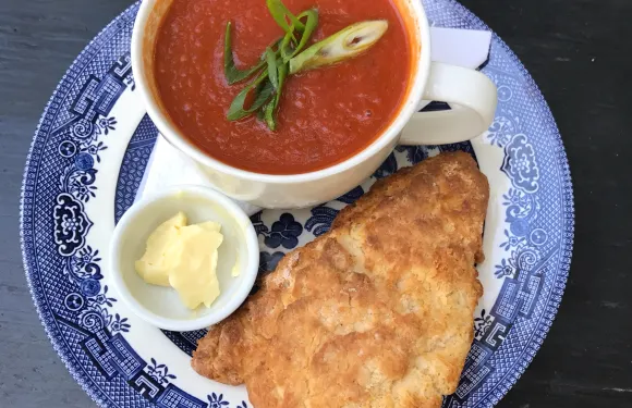 The Biscuit Eater Cafe & Books