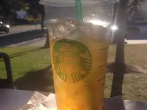 Starbucks Coffee Company