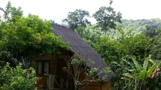 Chiang Dao Nest Restaurant