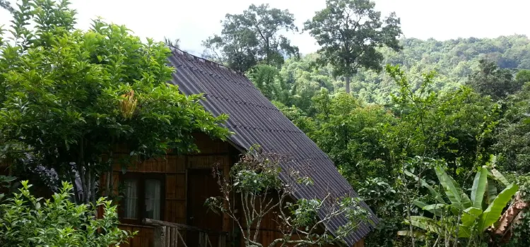 Chiang Dao Nest Restaurant