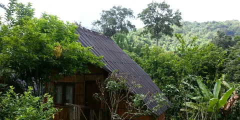 Chiang Dao Nest 1 Restaurant