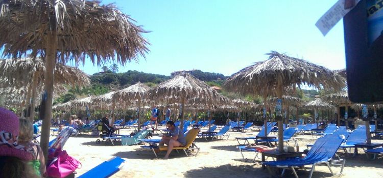 Barracuda Beach Bar