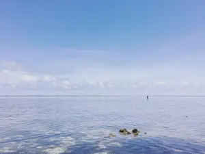 Siargao Inn Beach Restaurant