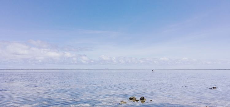 Siargao Inn Beach Restaurant