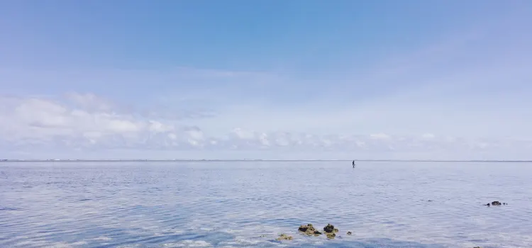 Siargao Inn Beach Restaurant